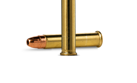 Rimfire Cartridge